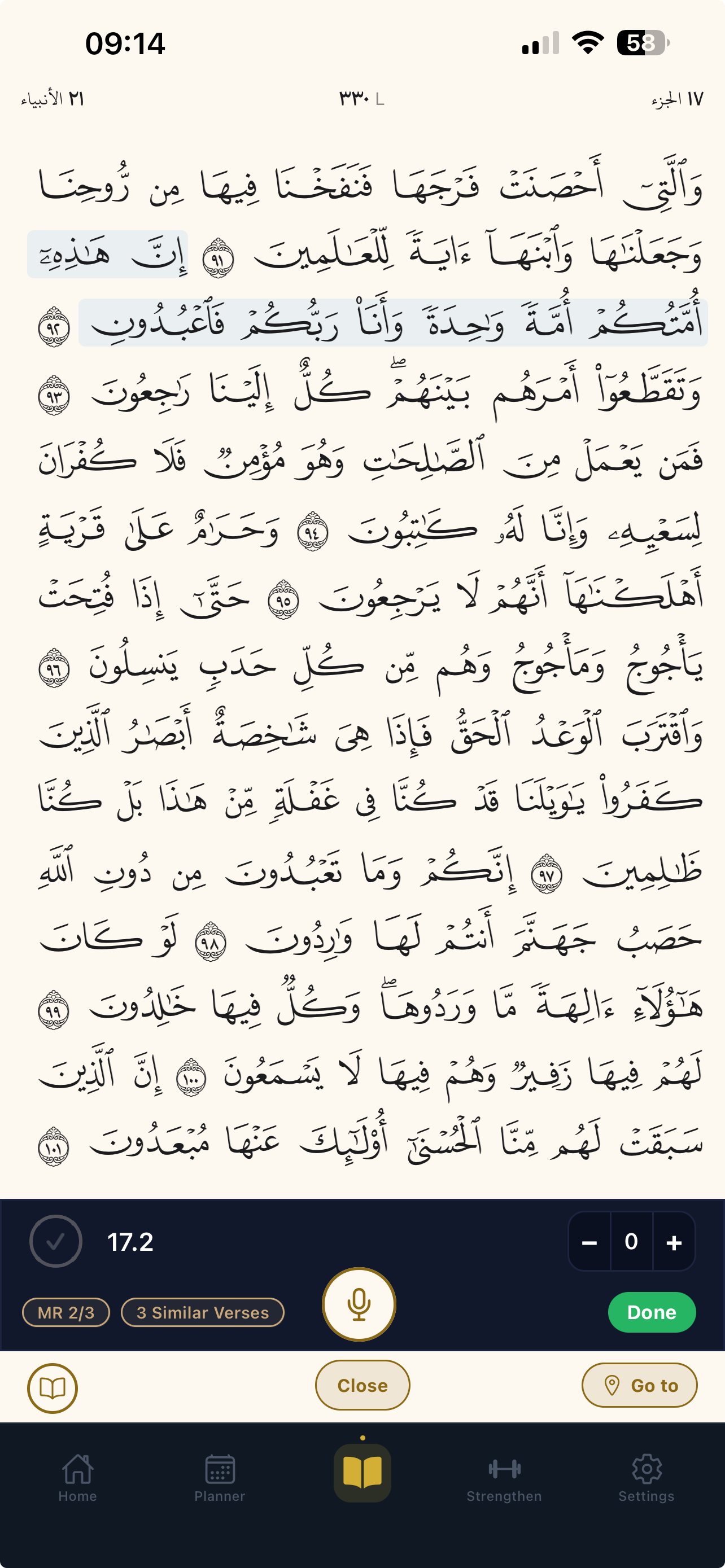 Hifz Mastery mushaf — Madani 15-line layout